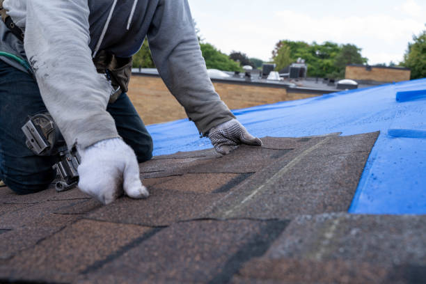 Best Roof Gutter Cleaning  in Oaklyn, NJ